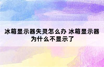 冰箱显示器失灵怎么办 冰箱显示器为什么不显示了